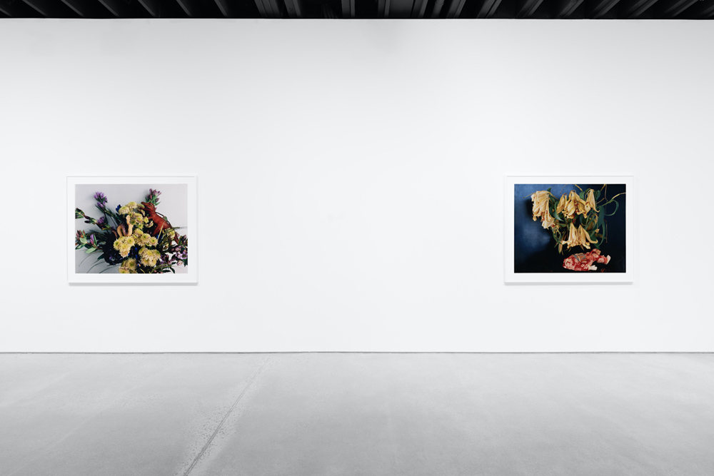  Anton Kern Gallery 