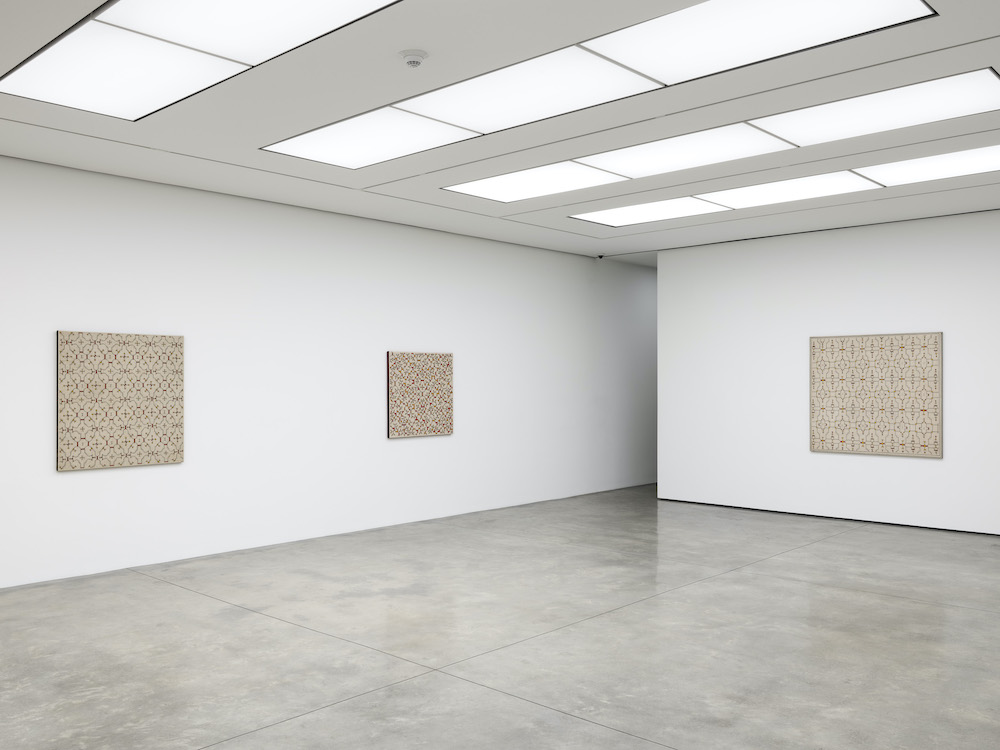 Sara Flores White Cube 