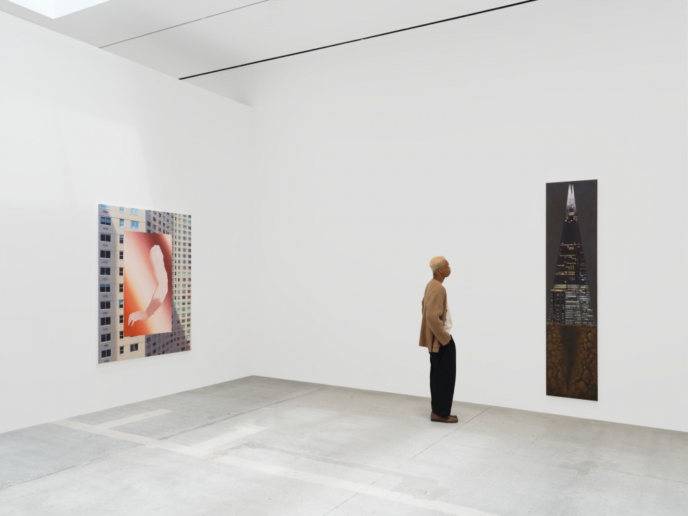Allison Katz Hauser & Wirth 