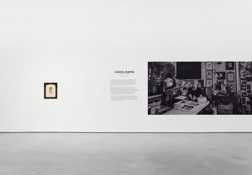 Carol Rama Hauser & Wirth 
