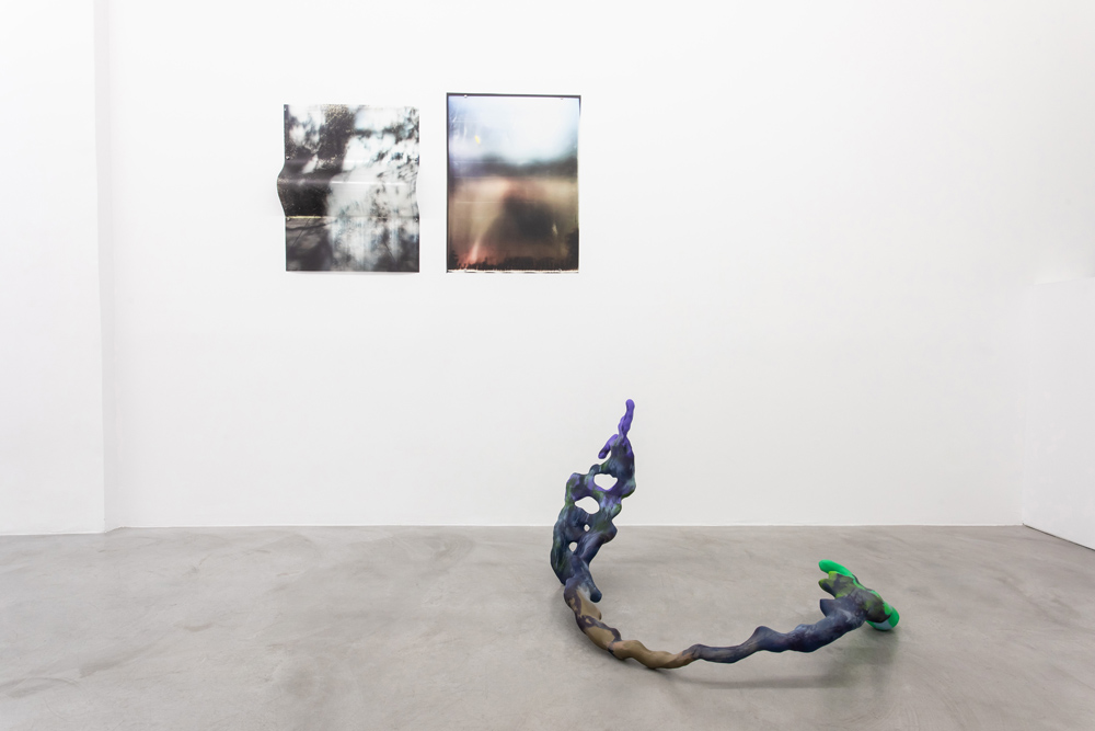 Marie Lelouche Galerie Alberta Pane 