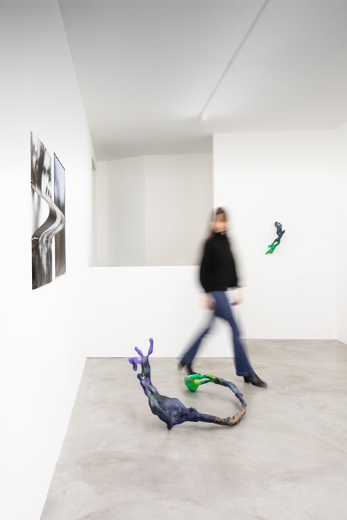 Marie Lelouche Galerie Alberta Pane 