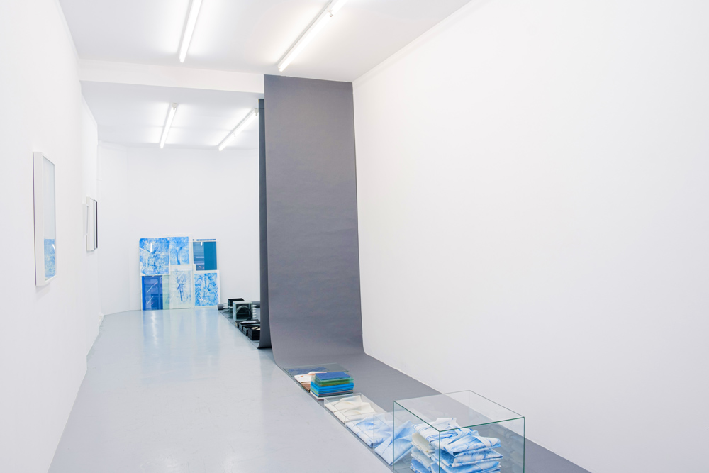 Marie Denis Galerie Alberta Pane 