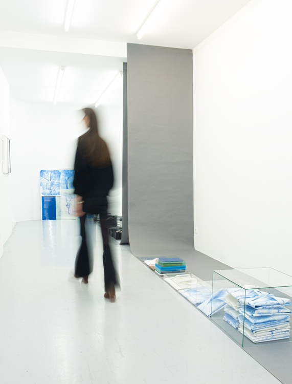 Marie Denis Galerie Alberta Pane 