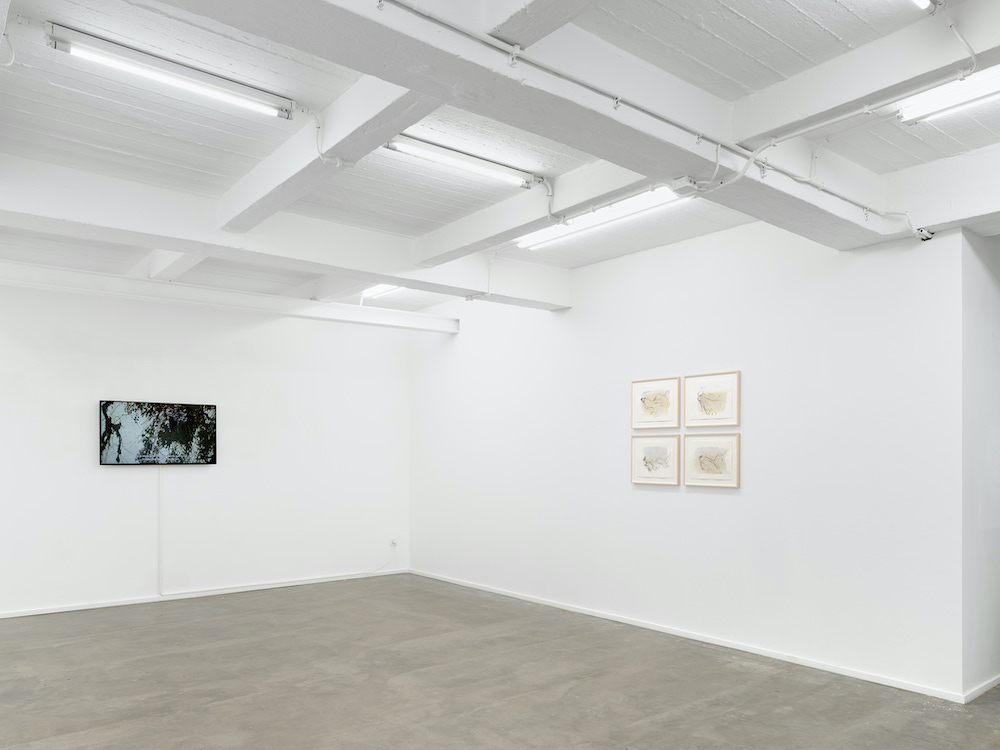Philippe Van Snick Keteleer Gallery 