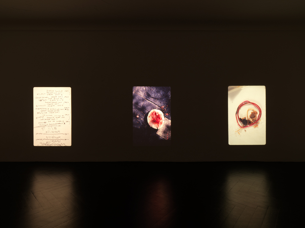 Yuji Agematsu Galerie Buchholz Marseille 1994