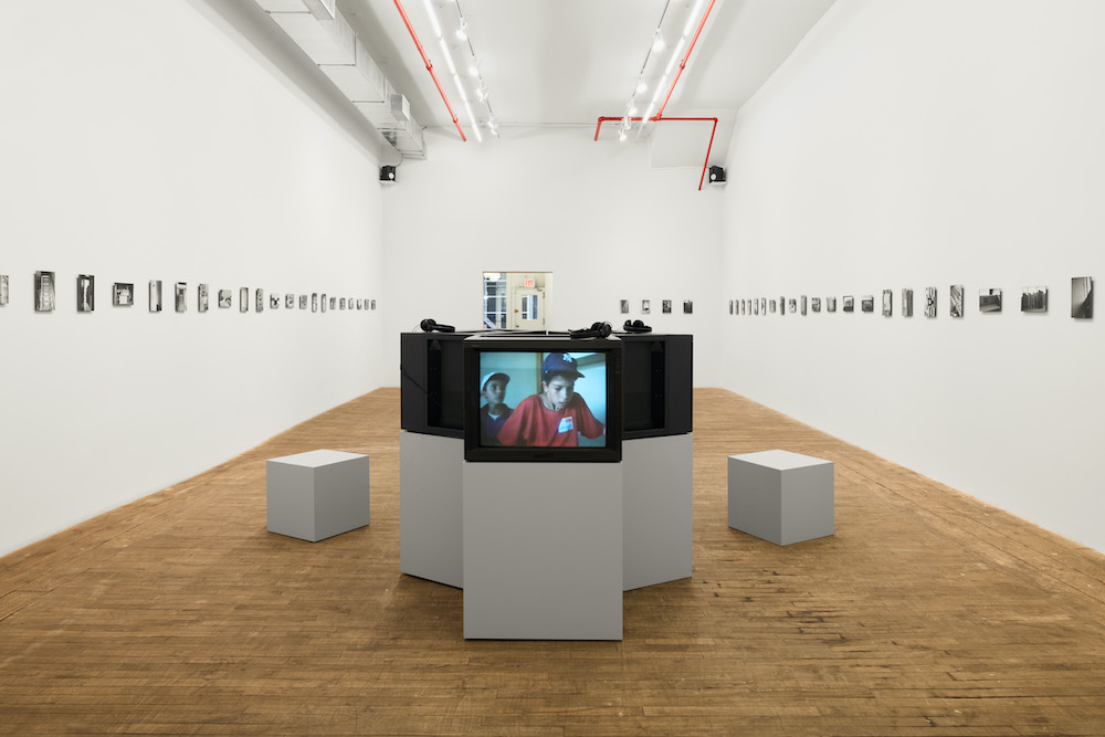 Renée Green Bortolami Gallery 
