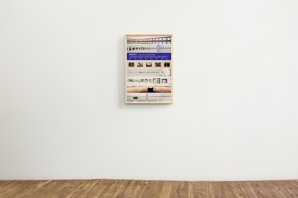 Renée Green Bortolami Gallery 