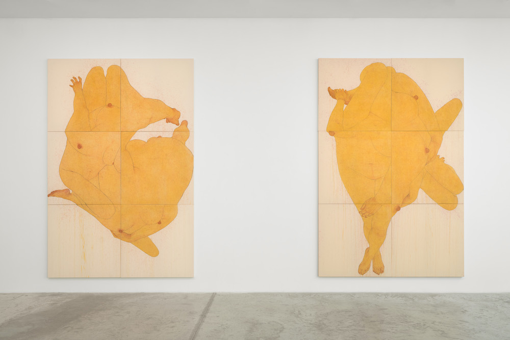 Seung Ah Paik Bortolami Gallery 