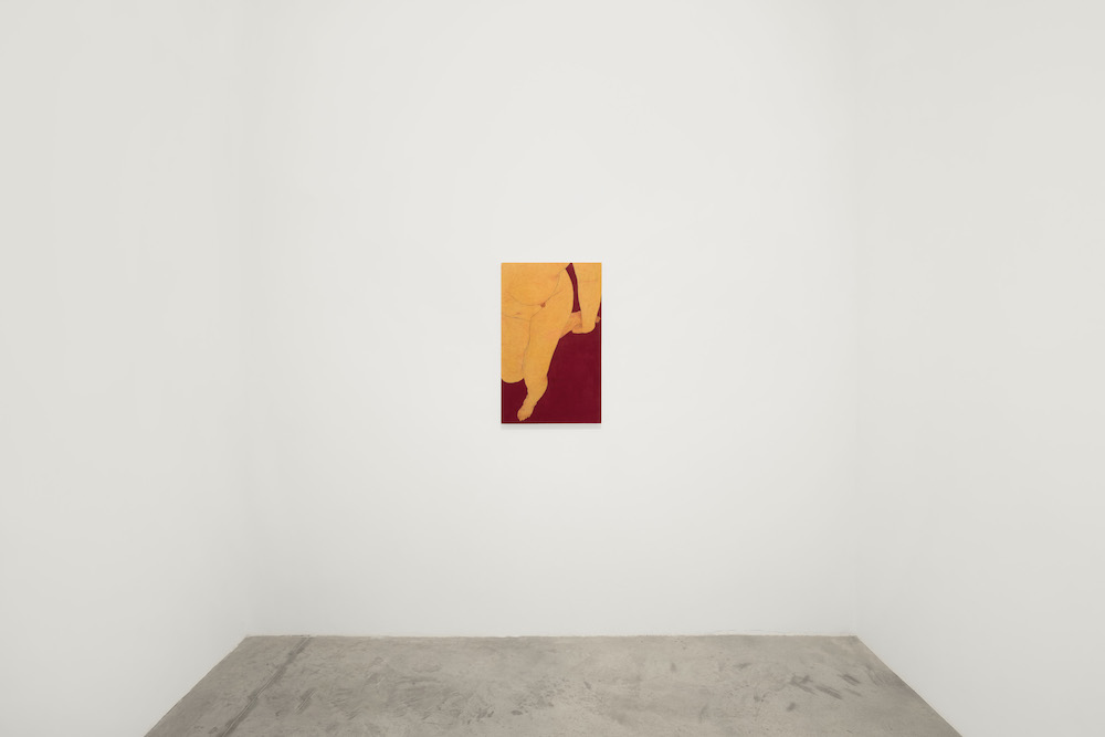Seung Ah Paik Bortolami Gallery 