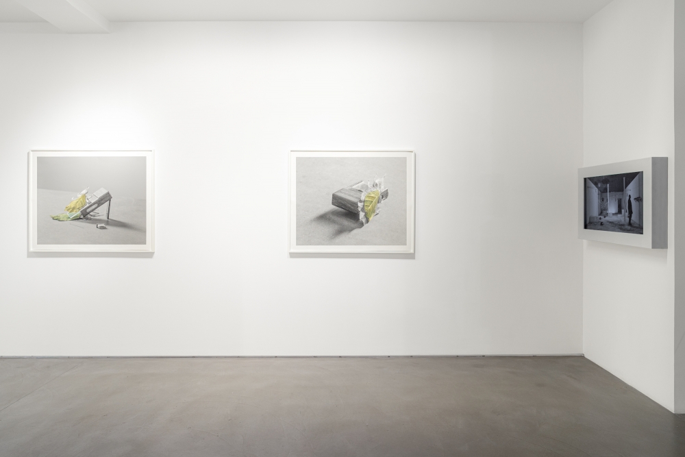  Galerie Chantal Crousel 