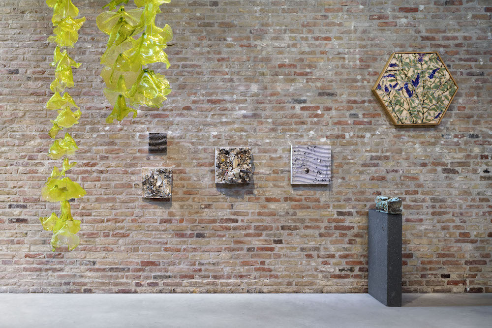 Tue Greenfort KÖNIG GALERIE 