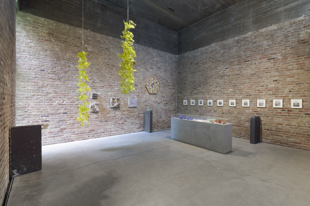Tue Greenfort KÖNIG GALERIE 