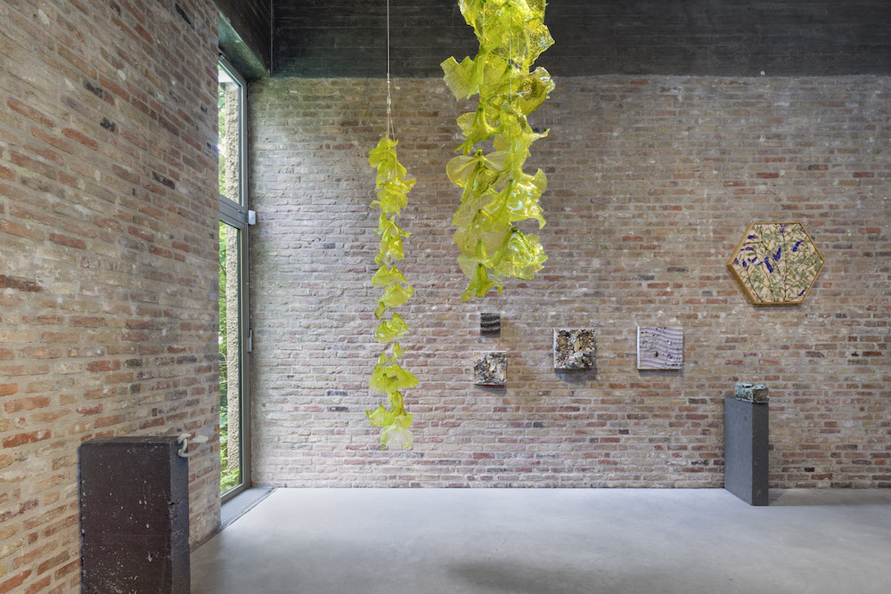 Tue Greenfort KÖNIG GALERIE 