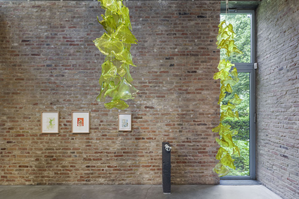 Tue Greenfort KÖNIG GALERIE 