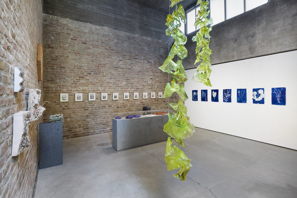 Tue Greenfort KÖNIG GALERIE 