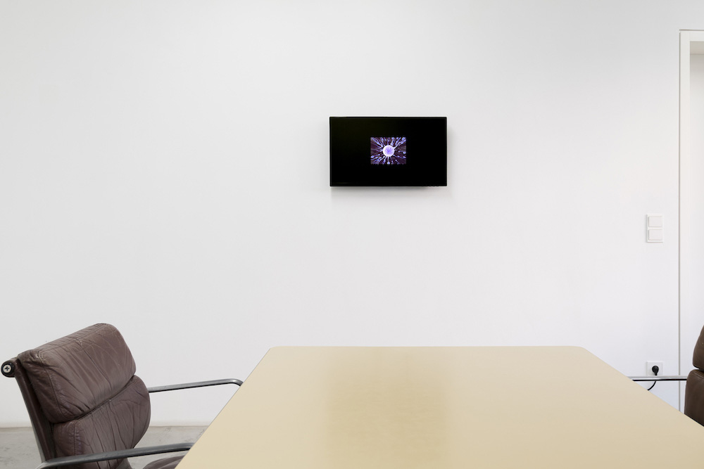  Galerie Neu 