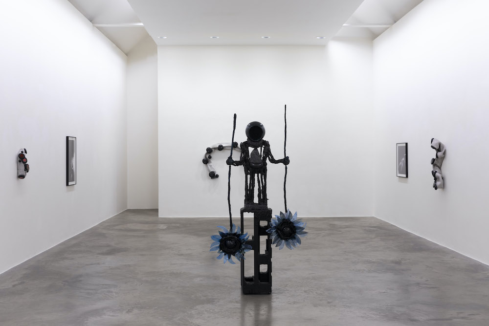 Siobhán Hapaska Kerlin Gallery 