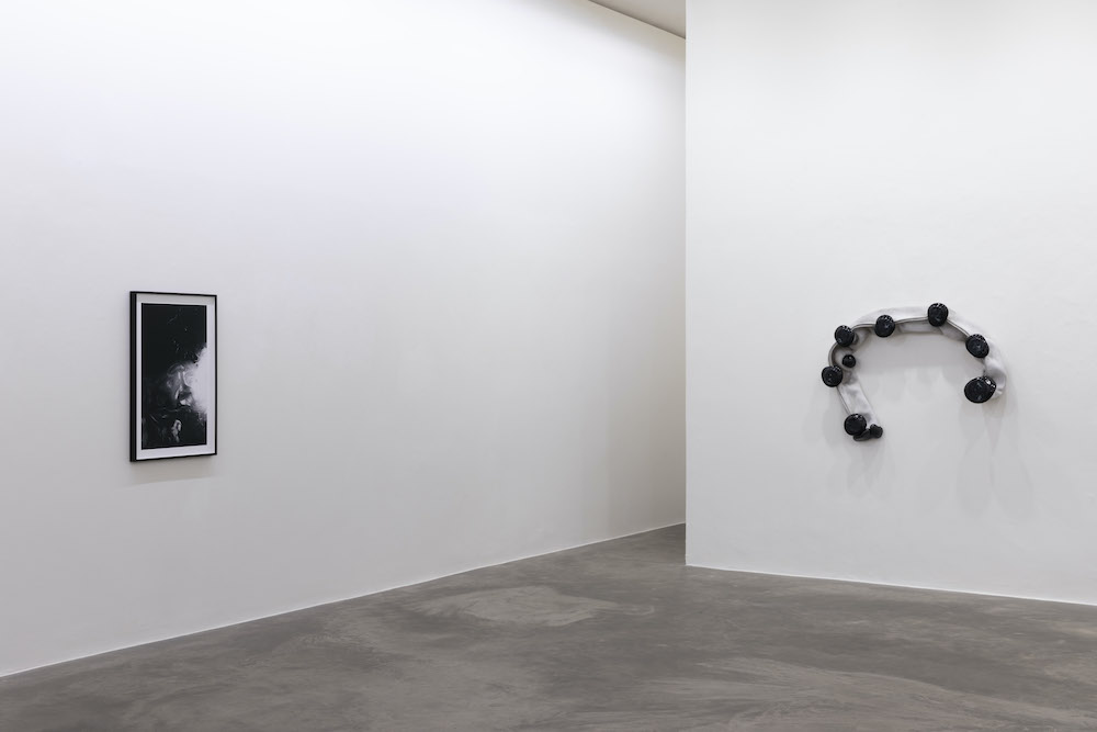 Siobhán Hapaska Kerlin Gallery 