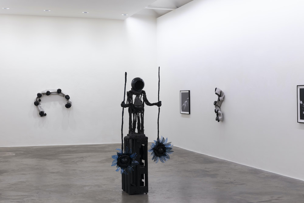 Siobhán Hapaska Kerlin Gallery 