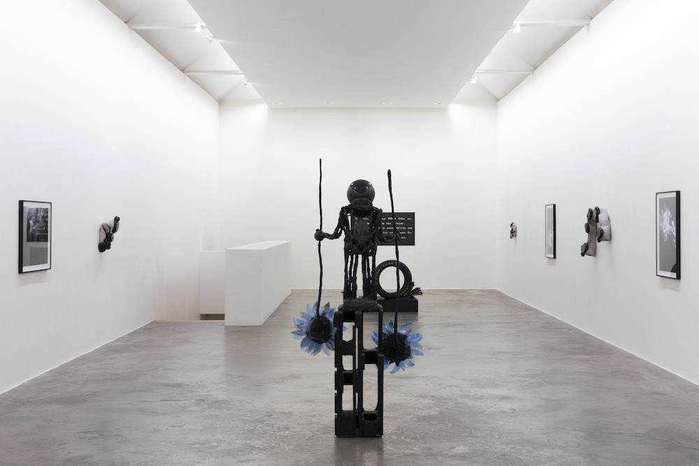 Siobhán Hapaska Kerlin Gallery 