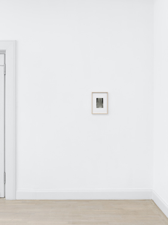Dorothee von Windheim Sies + Höke Galerie 