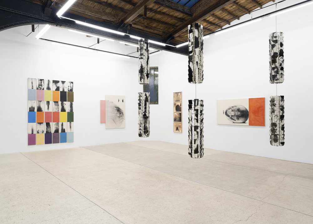 Kunié Sugiura galerie frank elbaz 