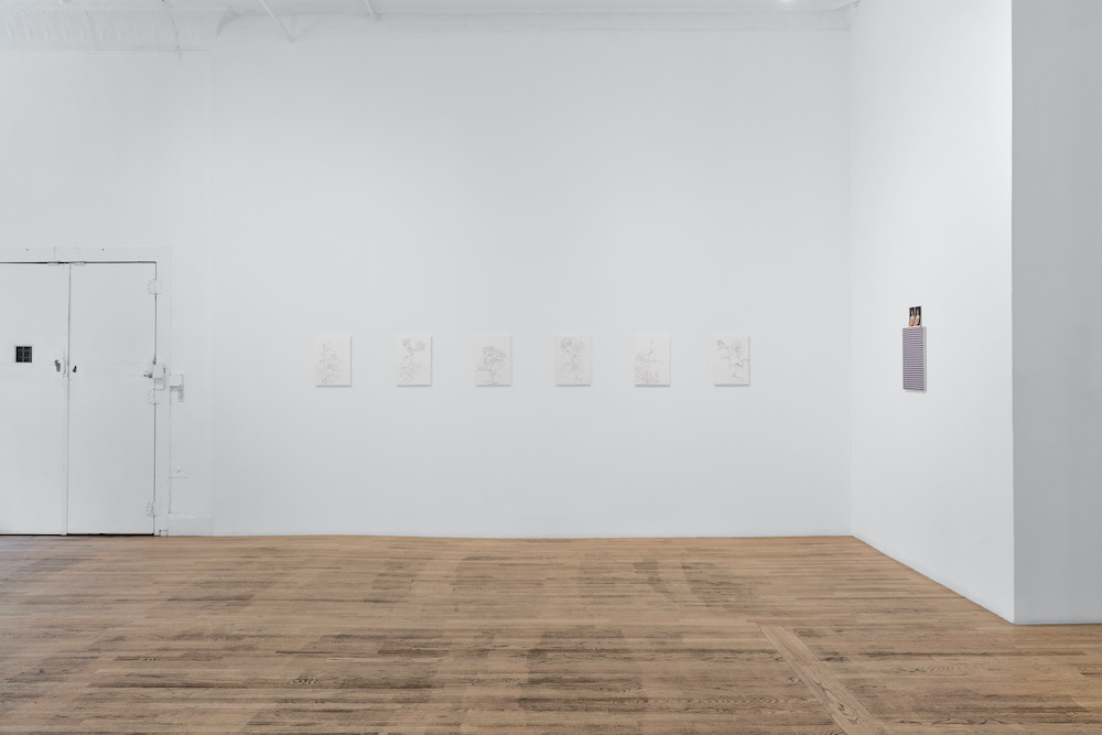 Caitlin Keogh Bortolami Gallery 