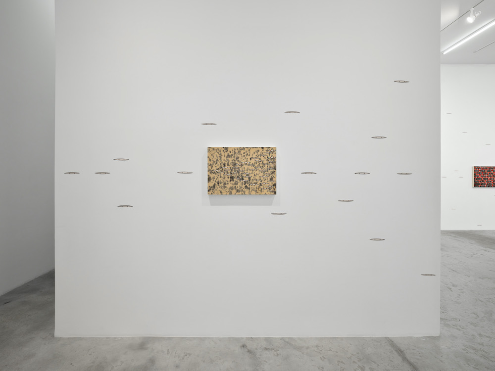 Tran Luong Bortolami Gallery 