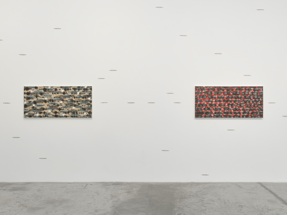 Tran Luong Bortolami Gallery 