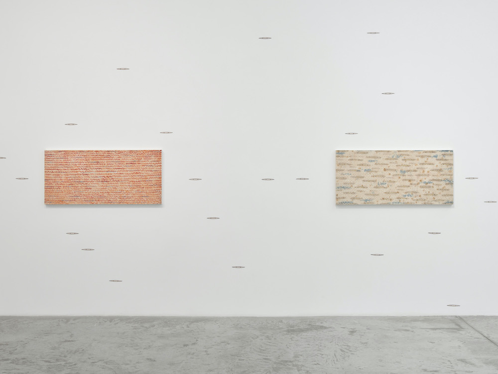 Tran Luong Bortolami Gallery 
