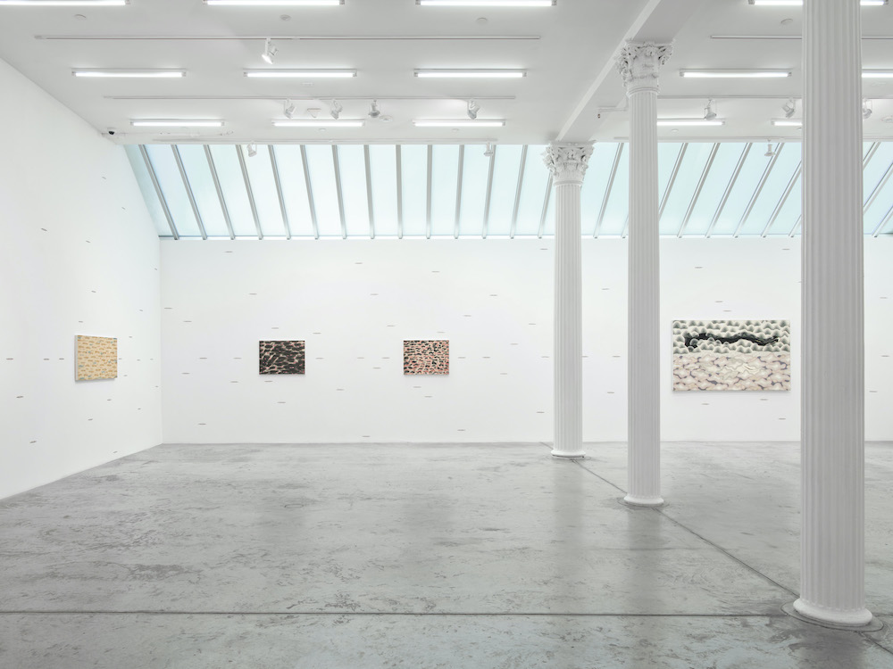 Tran Luong Bortolami Gallery 