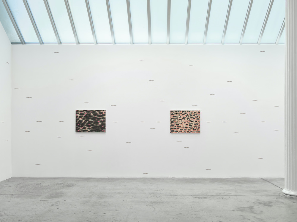 Tran Luong Bortolami Gallery 