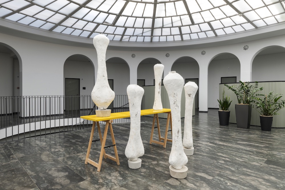 David Bestué Galería Ehrhardt Flórez Samuel