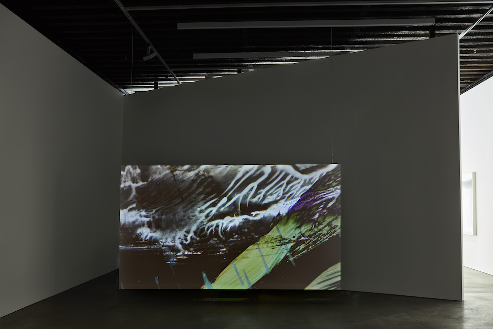 Matt Saunders Marian Goodman Gallery 