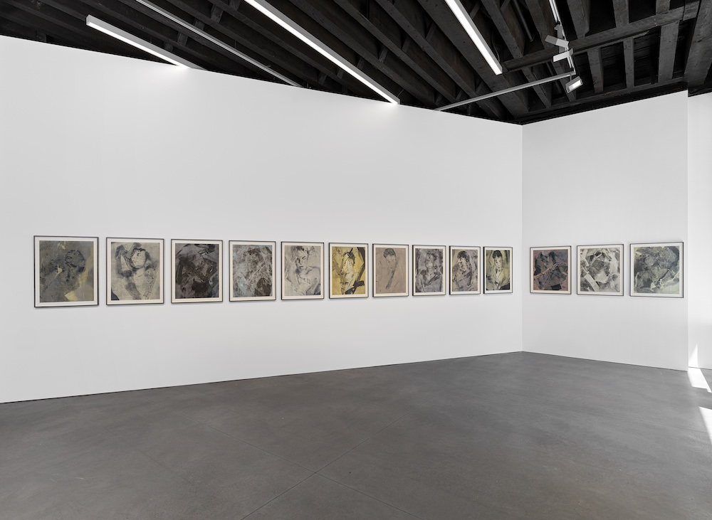 Matt Saunders Marian Goodman Gallery 