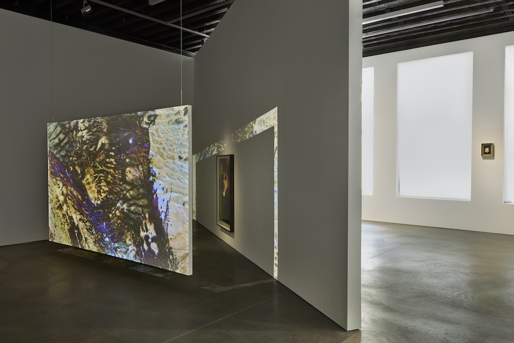 Matt Saunders Marian Goodman Gallery 