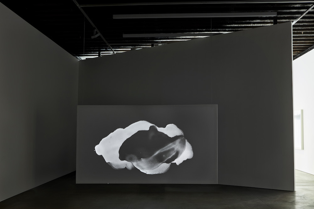 Matt Saunders Marian Goodman Gallery 