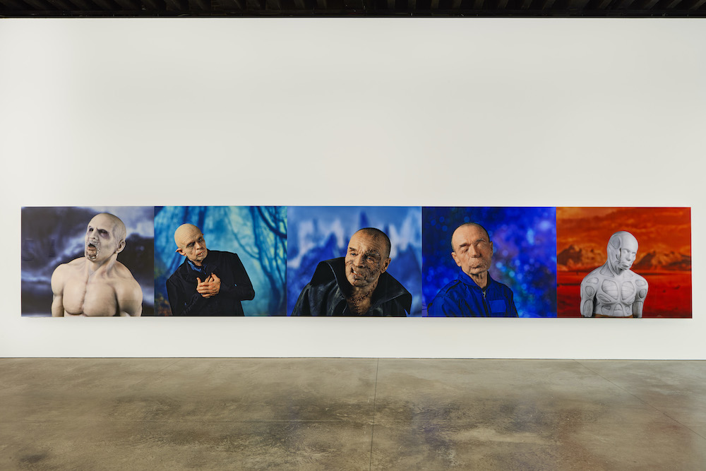 Daniel Joseph Martinez Marian Goodman Gallery 