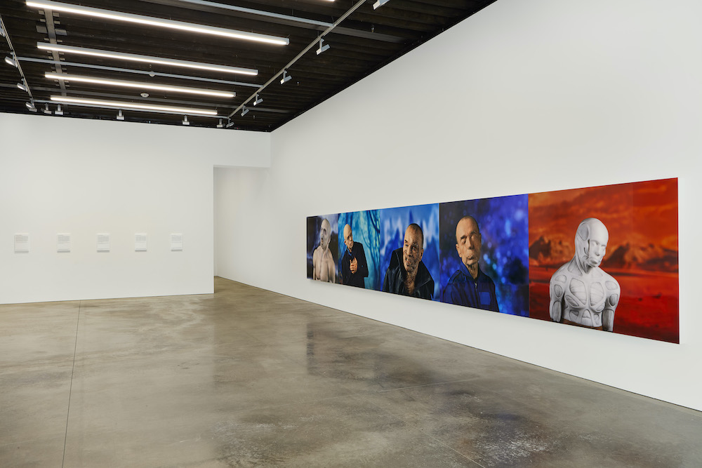 Daniel Joseph Martinez Marian Goodman Gallery 