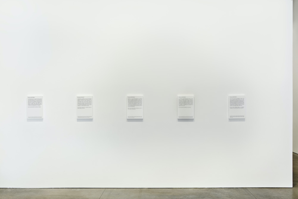 Daniel Joseph Martinez Marian Goodman Gallery 