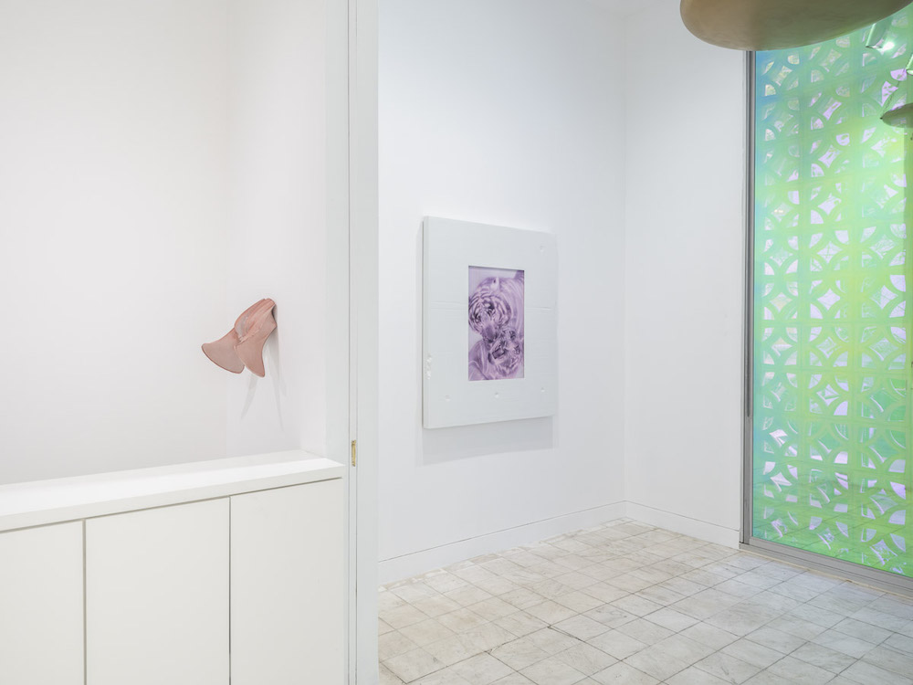 Shahryar Nashat Gladstone Gallery 