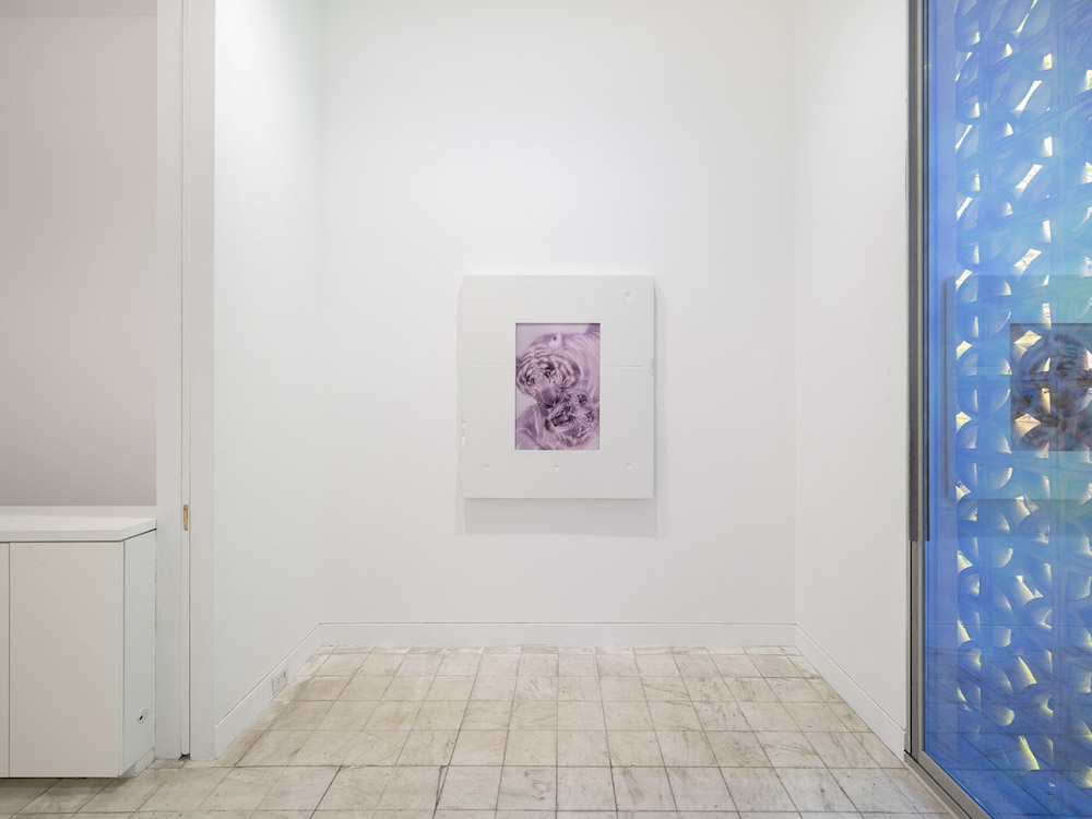Shahryar Nashat Gladstone Gallery 