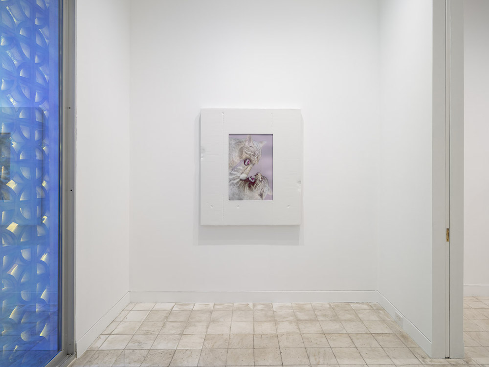 Shahryar Nashat Gladstone Gallery 