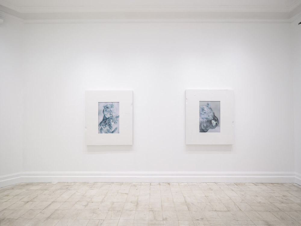 Shahryar Nashat Gladstone Gallery 