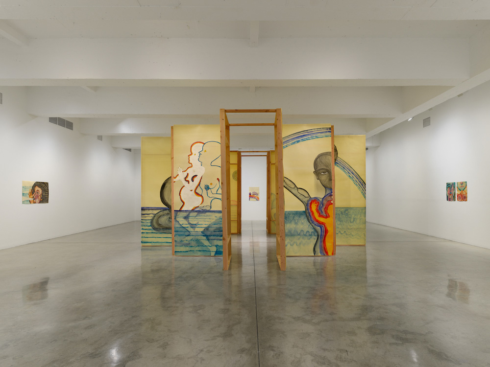 Sandra Vásquez de la Horra Tanya Bonakdar Gallery 