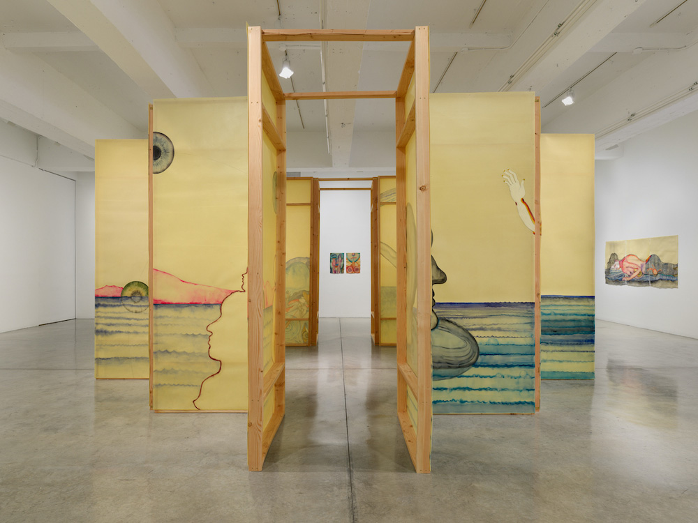 Sandra Vásquez de la Horra Tanya Bonakdar Gallery 