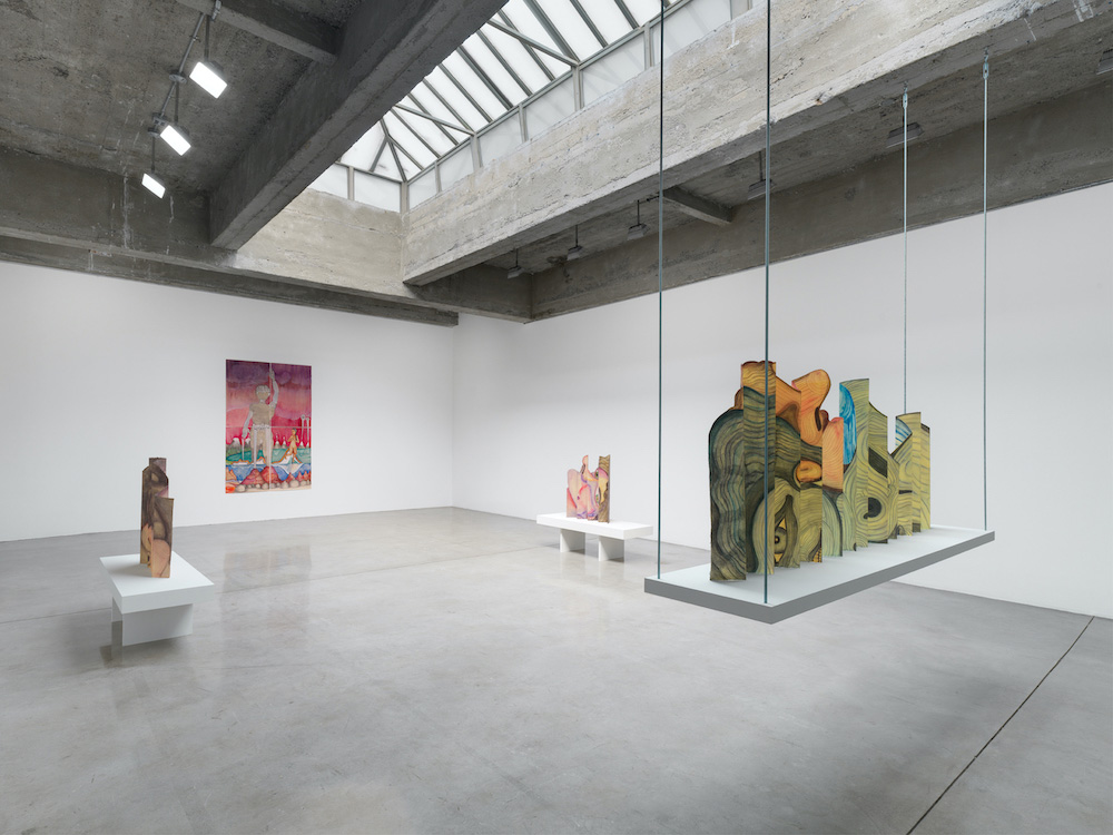 Sandra Vásquez de la Horra Tanya Bonakdar Gallery 