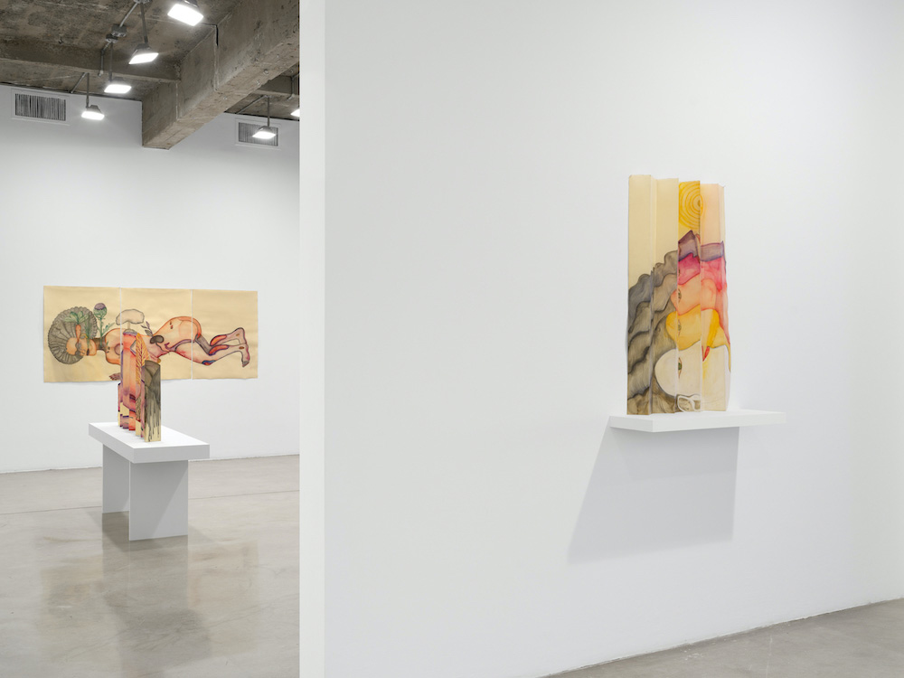 Sandra Vásquez de la Horra Tanya Bonakdar Gallery 