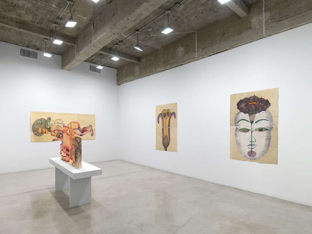 Sandra Vásquez de la Horra Tanya Bonakdar Gallery 
